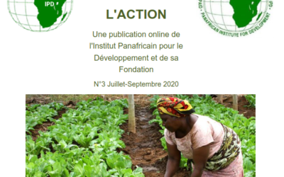 Newsletters IRED-FORUM n°3