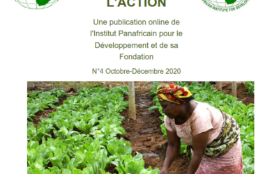 Newsletters IRED-FORUM n°4