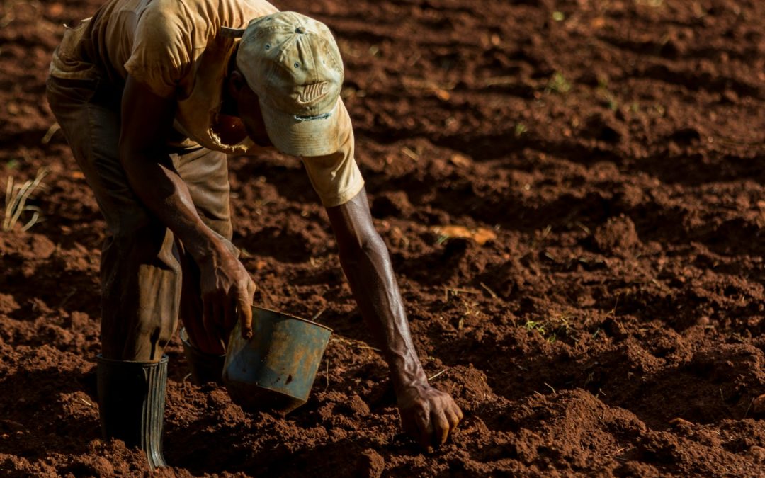 Face aux défis alimentaire mondiaux, une nouvelle agriculture s’ impose