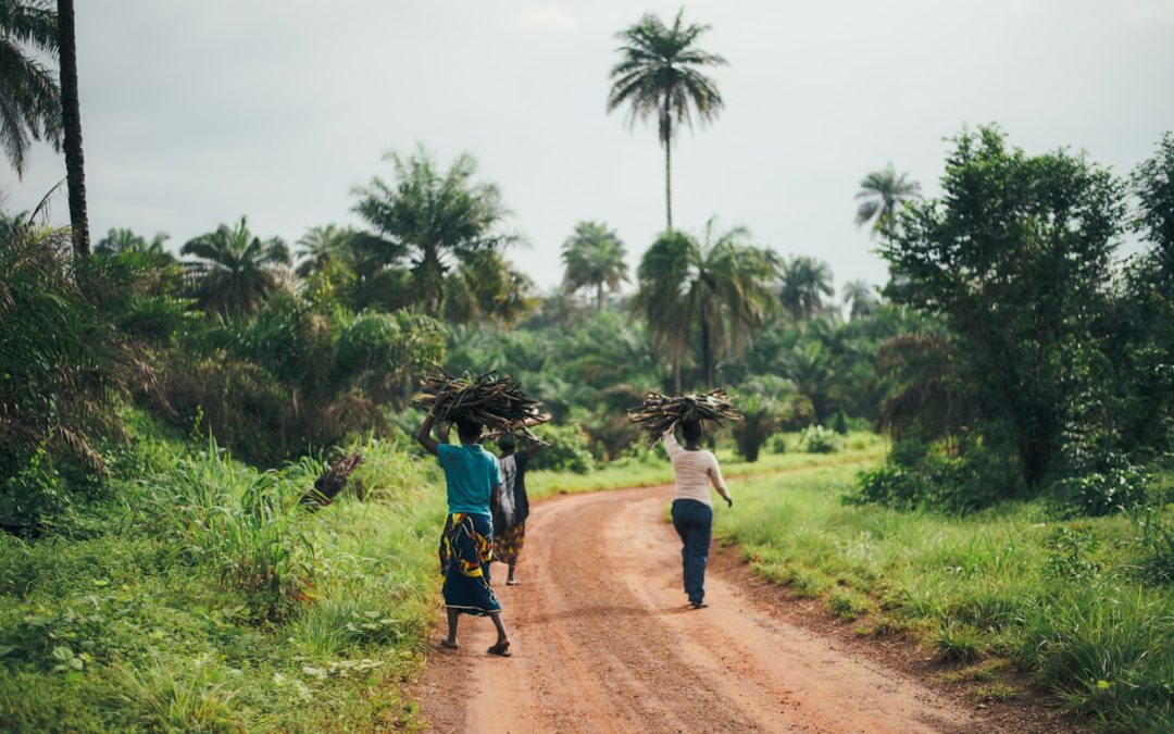 Historique et évolution du concept de souveraineté alimentaire dans le monde