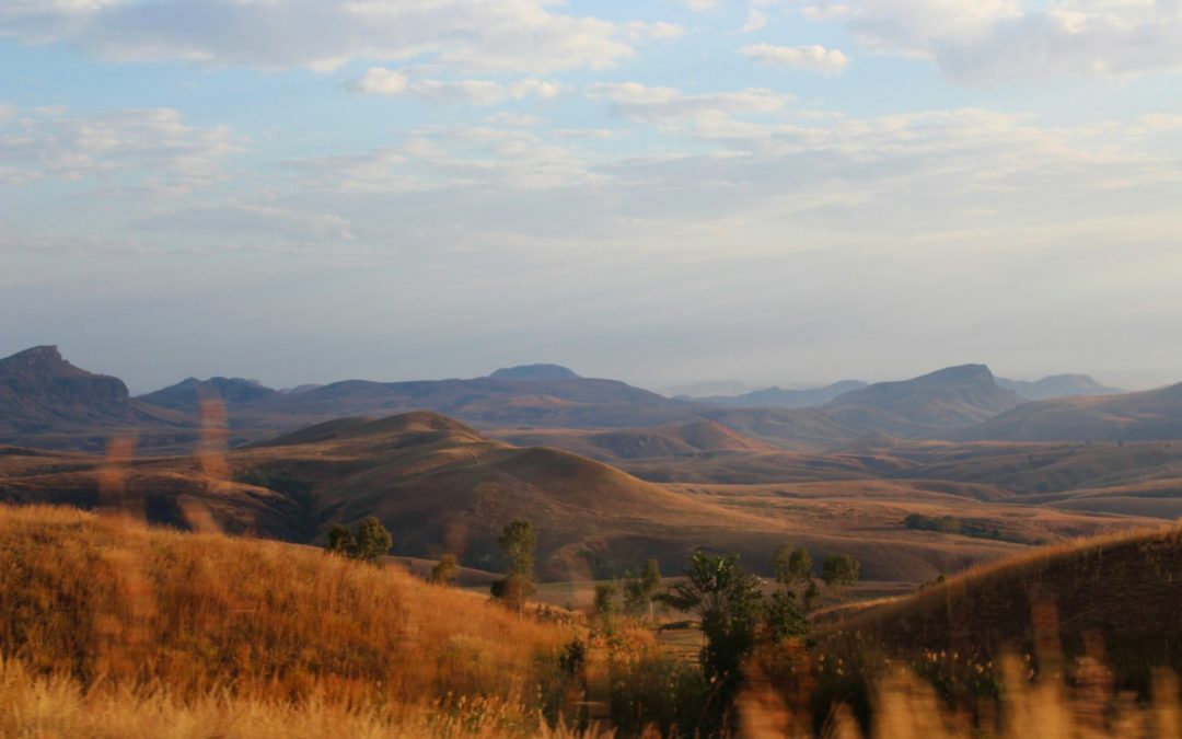 Des nouvelles de Madagascar