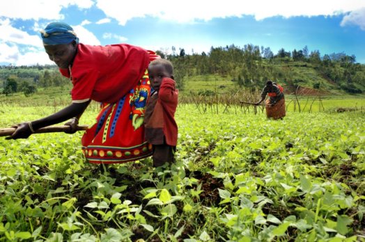 «La gratuité empêche les pays africains de bien se développer»