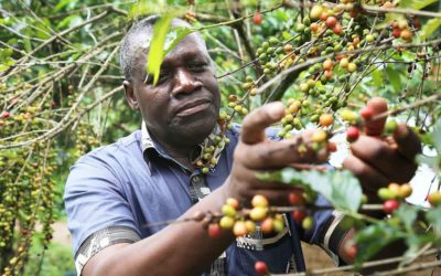 « L’Afrique ne doit pas rattraper l’Occident mais définir sa propre voie de développement »