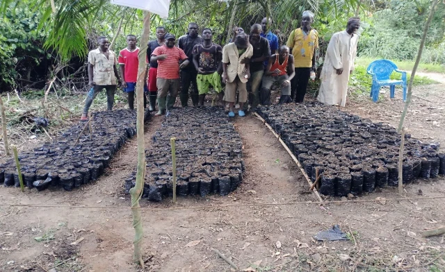 Est-Cameroun : Le SAILD forme les paysans à la production des pépinières d’arbres fruitiers