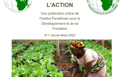 Newsletters IRED-FORUM n°1