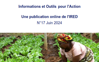 E-bulletin IRED N°17 Juin 2024