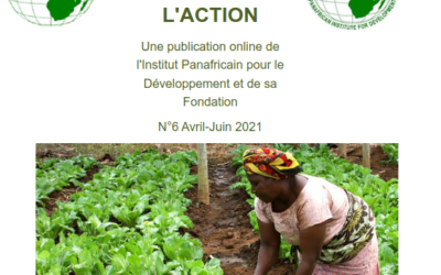 Newsletters IRED-FORUM n°6
