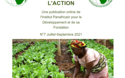 Newsletters IRED-FORUM n°7